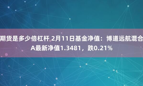 期货是多少倍杠杆 2月11日基金净值：博道远航混合A最新净值1.3481，跌0.21%
