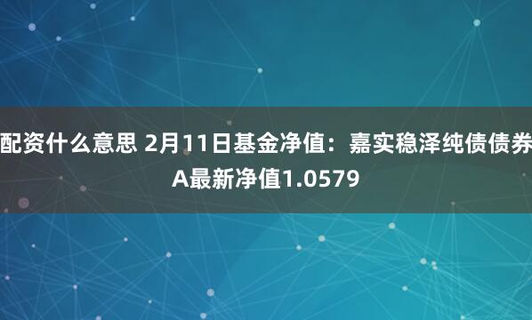 配资什么意思 2月11日基金净值：嘉实稳泽纯债债券A最新净值1.0579