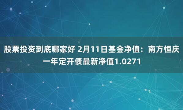股票投资到底哪家好 2月11日基金净值：南方恒庆一年定开债最新净值1.0271