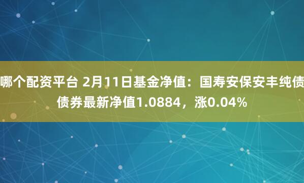 哪个配资平台 2月11日基金净值：国寿安保安丰纯债债券最新净值1.0884，涨0.04%