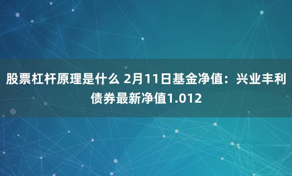 股票杠杆原理是什么 2月11日基金净值：兴业丰利债券最新净值1.012