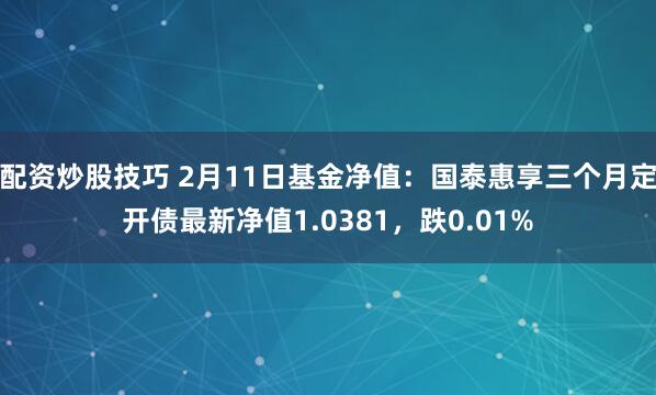 配资炒股技巧 2月11日基金净值：国泰惠享三个月定开债最新净值1.0381，跌0.01%