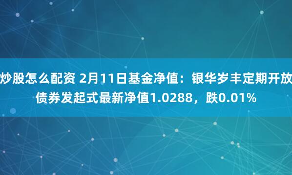 炒股怎么配资 2月11日基金净值：银华岁丰定期开放债券发起式最新净值1.0288，跌0.01%