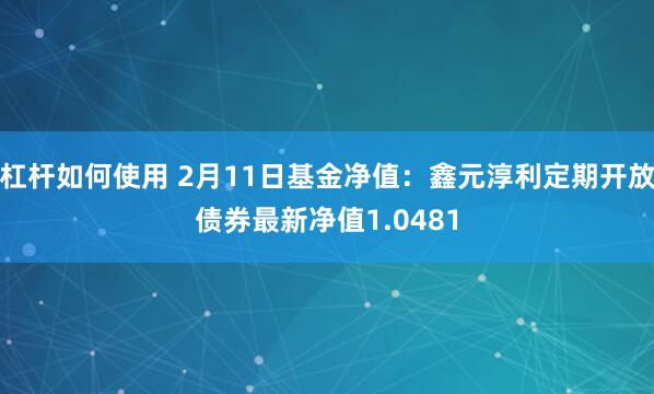 杠杆如何使用 2月11日基金净值：鑫元淳利定期开放债券最新净值1.0481