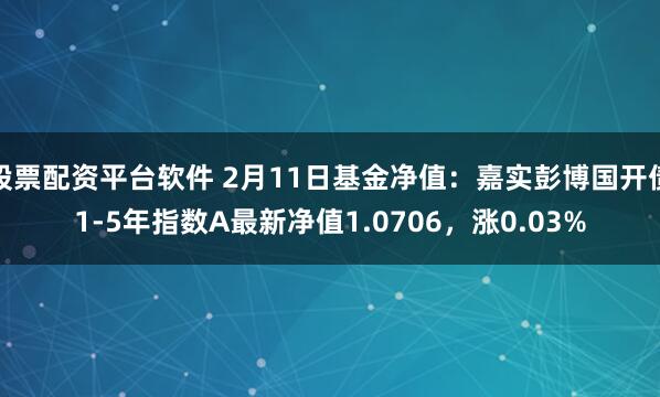 股票配资平台软件 2月11日基金净值：嘉实彭博国开债1-5年指数A最新净值1.0706，涨0.03%