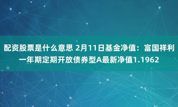 配资股票是什么意思 2月11日基金净值：富国祥利一年期定期开放债券型A最新净值1.1962