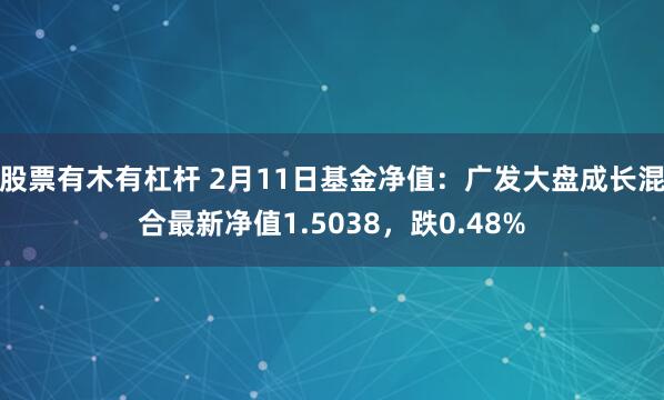 股票有木有杠杆 2月11日基金净值：广发大盘成长混合最新净值1.5038，跌0.48%