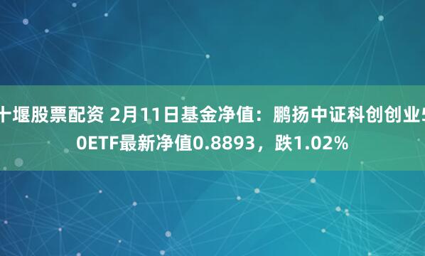 十堰股票配资 2月11日基金净值：鹏扬中证科创创业50ETF最新净值0.8893，跌1.02%