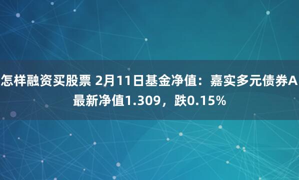 怎样融资买股票 2月11日基金净值：嘉实多元债券A最新净值1.309，跌0.15%