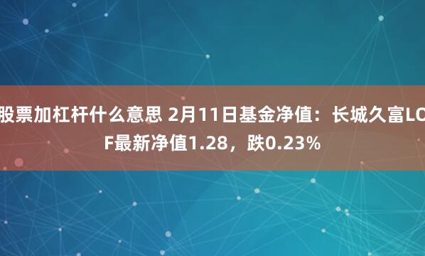 股票加杠杆什么意思 2月11日基金净值：长城久富LOF最新净值1.28，跌0.23%
