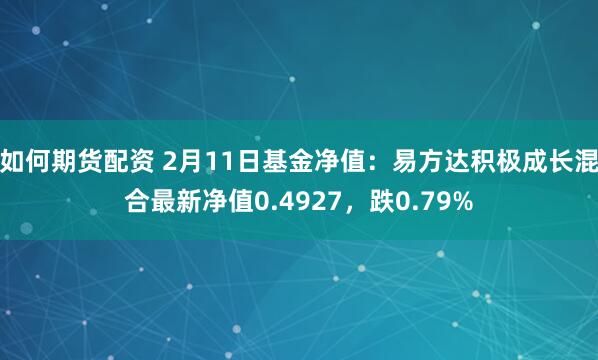 如何期货配资 2月11日基金净值：易方达积极成长混合最新净值0.4927，跌0.79%