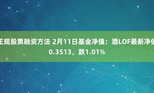 正规股票融资方法 2月11日基金净值：酒LOF最新净值0.3513，跌1.01%