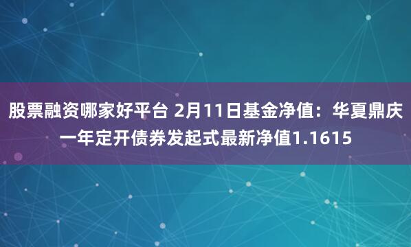 股票融资哪家好平台 2月11日基金净值：华夏鼎庆一年定开债券发起式最新净值1.1615