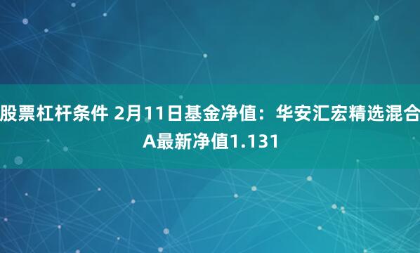 股票杠杆条件 2月11日基金净值：华安汇宏精选混合A最新净值1.131