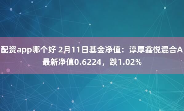 配资app哪个好 2月11日基金净值：淳厚鑫悦混合A最新净值0.6224，跌1.02%