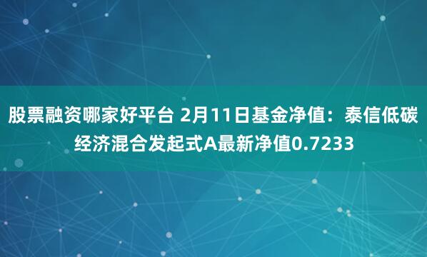股票融资哪家好平台 2月11日基金净值：泰信低碳经济混合发起式A最新净值0.7233