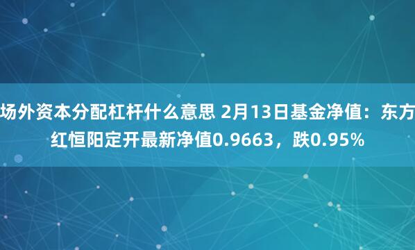 场外资本分配杠杆什么意思 2月13日基金净值：东方红恒阳定开最新净值0.9663，跌0.95%