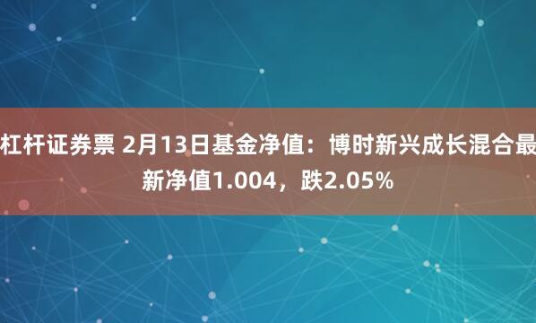 杠杆证券票 2月13日基金净值：博时新兴成长混合最新净值1.004，跌2.05%