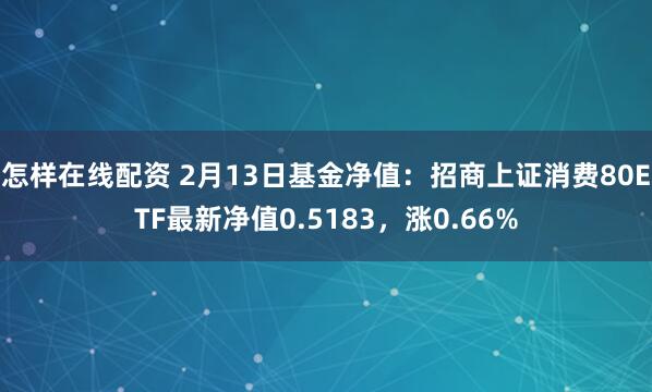 怎样在线配资 2月13日基金净值：招商上证消费80ETF最新净值0.5183，涨0.66%