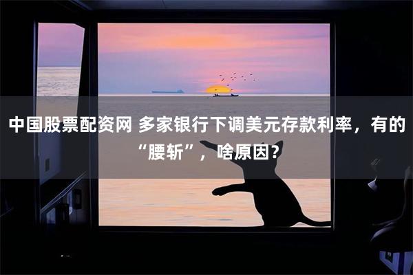 中国股票配资网 多家银行下调美元存款利率，有的“腰斩”，啥原因？