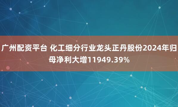 广州配资平台 化工细分行业龙头正丹股份2024年归母净利大增11949.39%