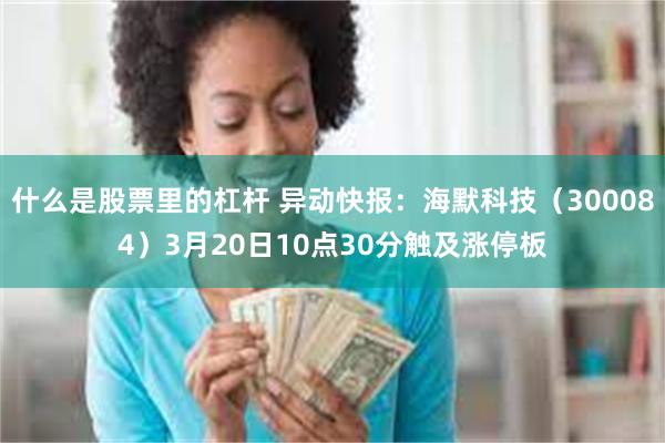 什么是股票里的杠杆 异动快报：海默科技（300084）3月20日10点30分触及涨停板