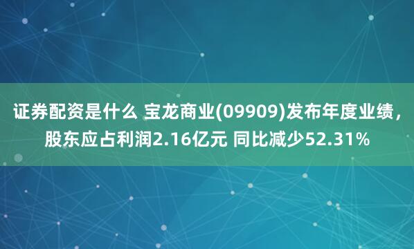 证券配资是什么 宝龙商业(09909)发布年度业绩，股东应占利润2.16亿元 同比减少52.31%