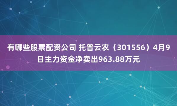 有哪些股票配资公司 托普云农（301556）4月9日主力资金净卖出963.88万元