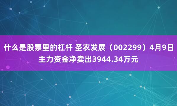 什么是股票里的杠杆 圣农发展（002299）4月9日主力资金净卖出3944.34万元