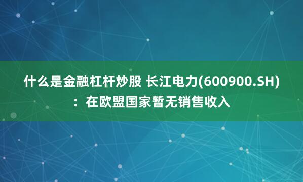 什么是金融杠杆炒股 长江电力(600900.SH)：在欧盟国家暂无销售收入