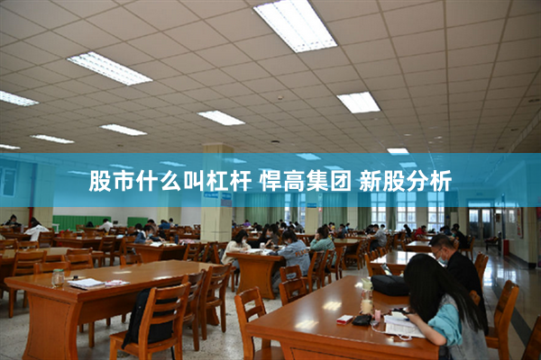 股市什么叫杠杆 悍高集团 新股分析