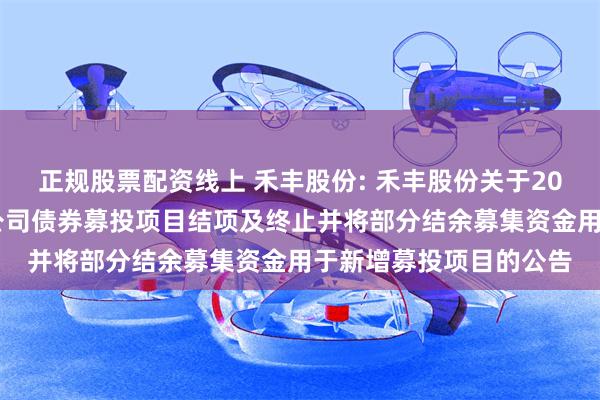 正规股票配资线上 禾丰股份: 禾丰股份关于2022年公开发行可转换公司债券募投项目结项及终止并将部分结余募集资金用于新增募投项目的公告