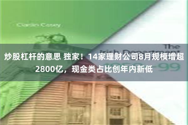 炒股杠杆的意思 独家！14家理财公司8月规模增超2800亿，现金类占比创年内新低