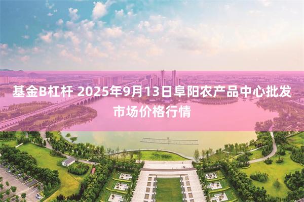 基金B杠杆 2025年9月13日阜阳农产品中心批发市场价格行情