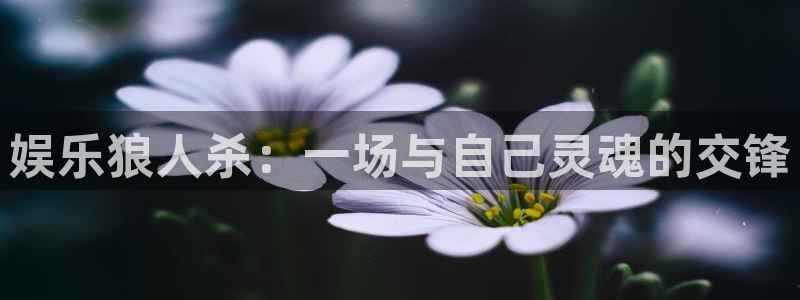 蓝狮在线注册平台官网：娱乐狼人杀：一场与自己灵魂的交锋