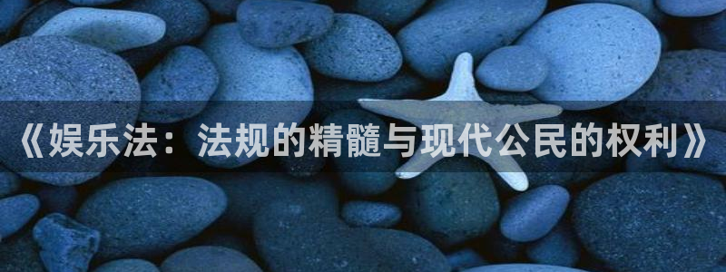 蓝狮在线注册开户：《娱乐法：法规的精髓与现代公民的权利》