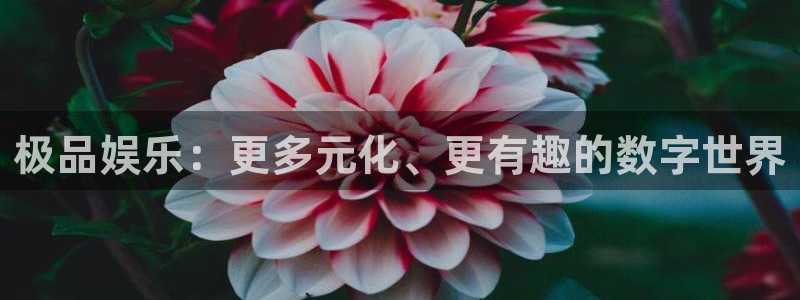 蓝狮在线注册地址：极品娱乐：更多元化、更有趣的数字世界