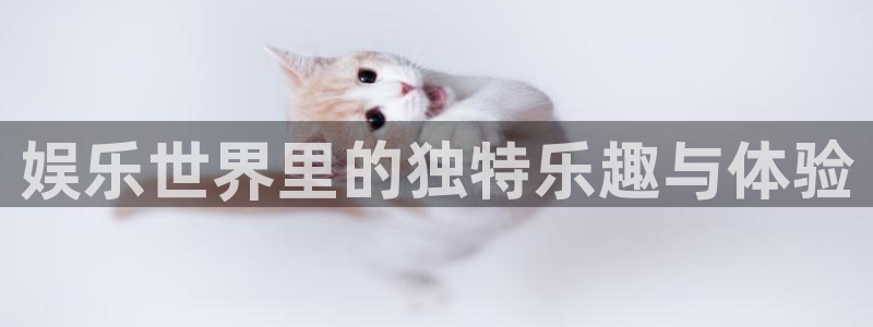 蓝狮在线平台：娱乐世界里的独特乐趣与体验