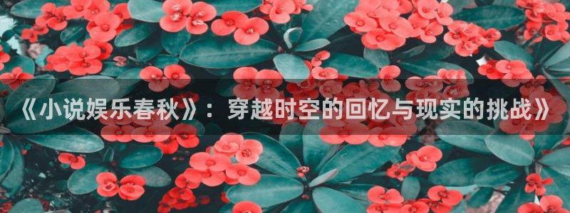 蓝狮在线彩票官网：《小说娱乐春秋》：穿越时空的回忆与现实的挑战》