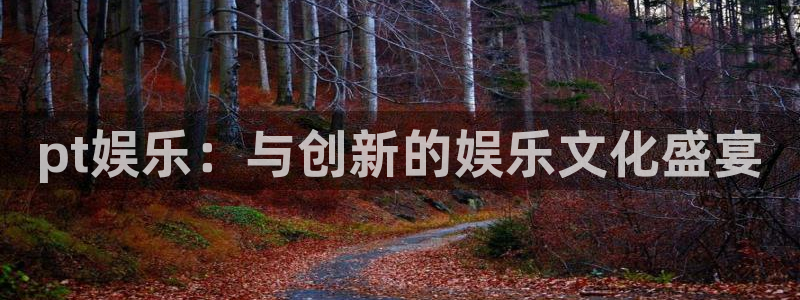 蓝狮在线：pt娱乐：与创新的娱乐文化盛宴