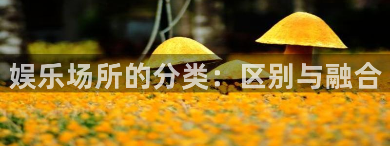 蓝狮在线邀请码怎么获得：娱乐场所的分类：区别与融合