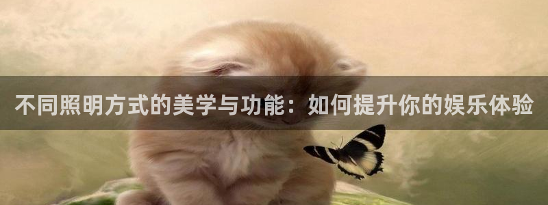 蓝狮在线邀请码怎么获得：不同照明方式的美学与功能：如何提升你的娱乐体验